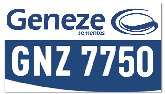 GNZ 7750