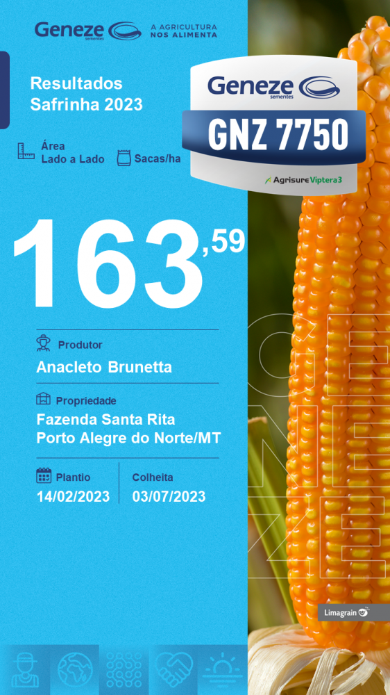 resultado-de-produtividade-gnz-7750