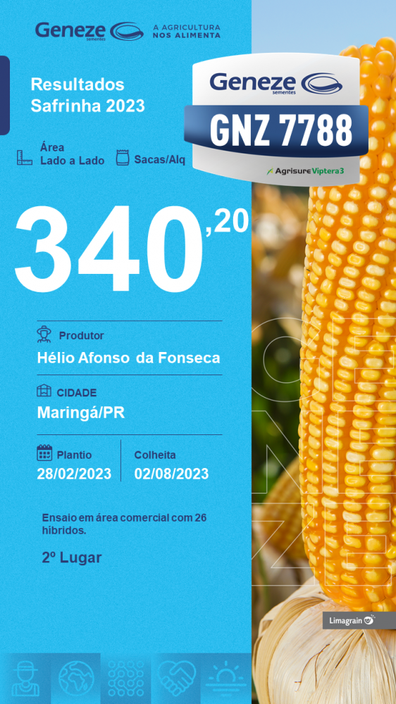 resultado-de-produtividade-gnz-7788