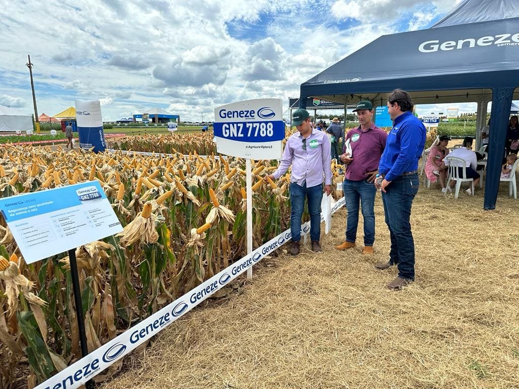 noticia-safratec-2024-geneze-sementes