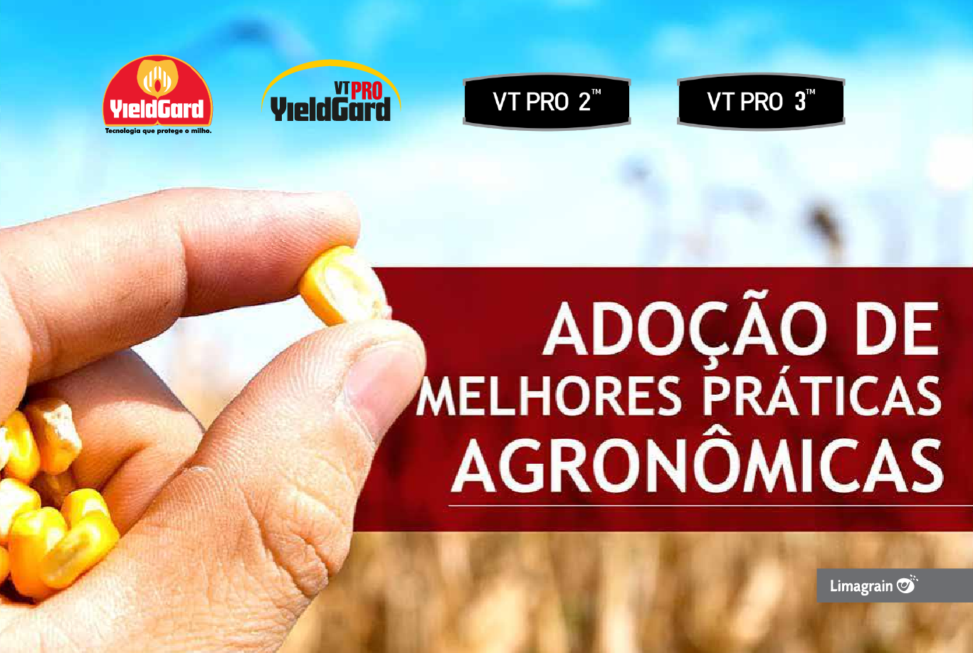 Adoção de Melhores Práticas Agronômicas