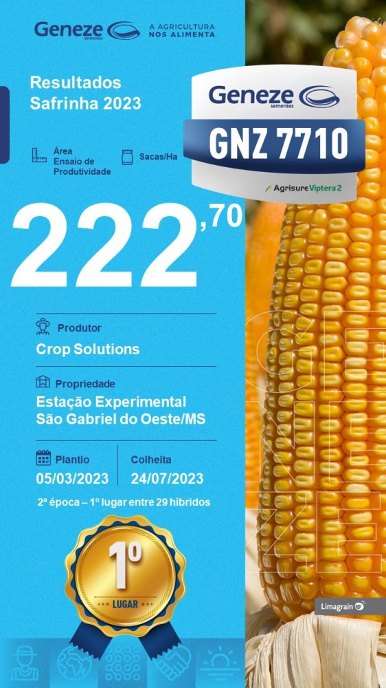 resultado-de-produtividade-gnz-7710'