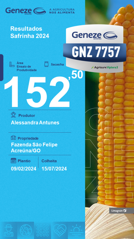 produtividade-gnz-7757'