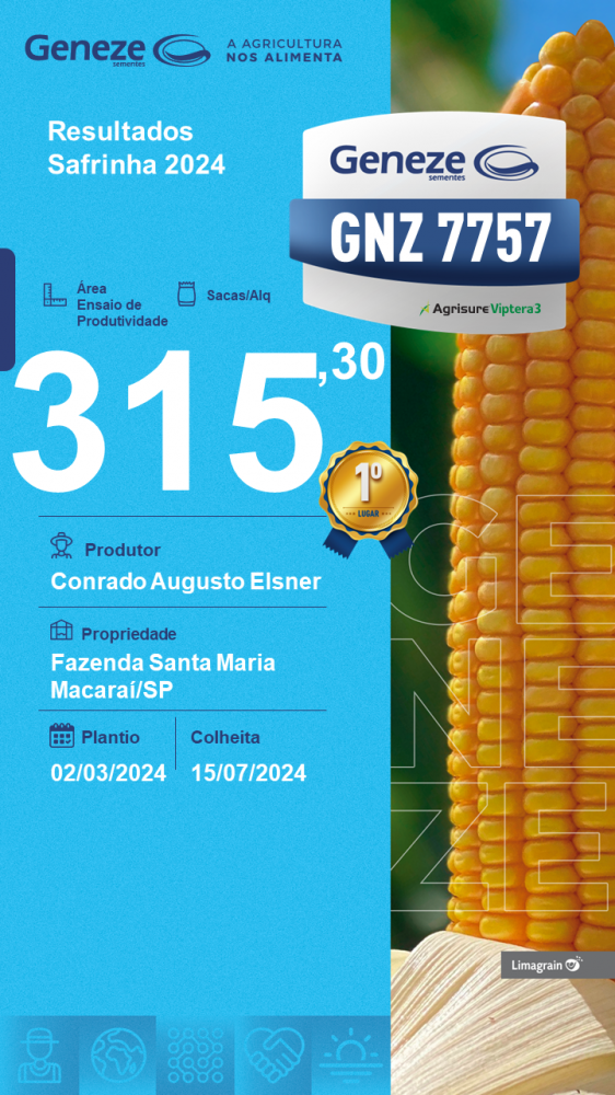 produtividade-gnz-7757