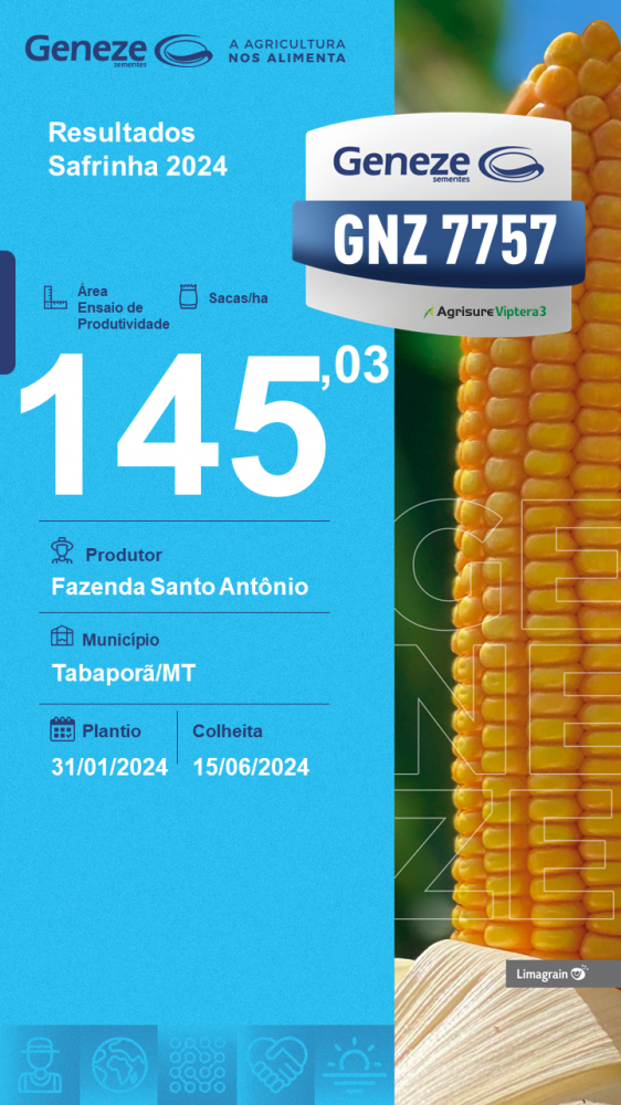 produtividade-gnz-7757