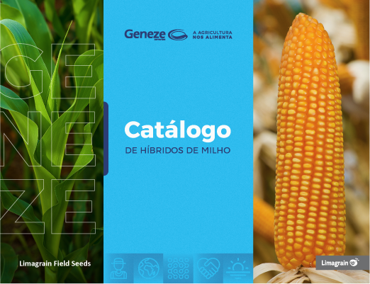 caalogo-de-milho
