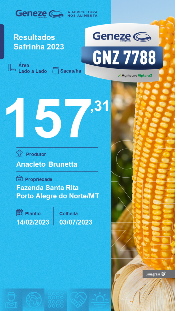 resultado-de-produtividade-gnz-7788