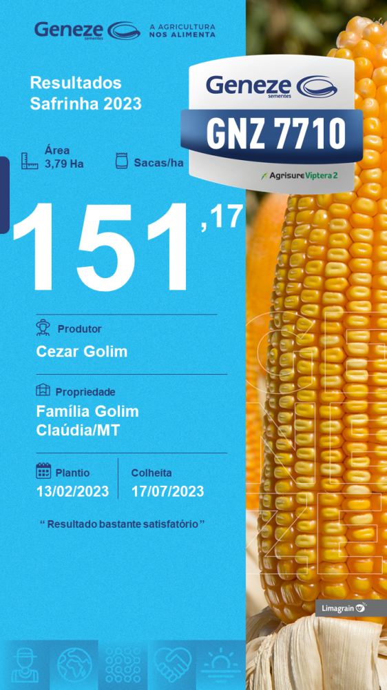 resultado-de-produtividade-gnz-7710