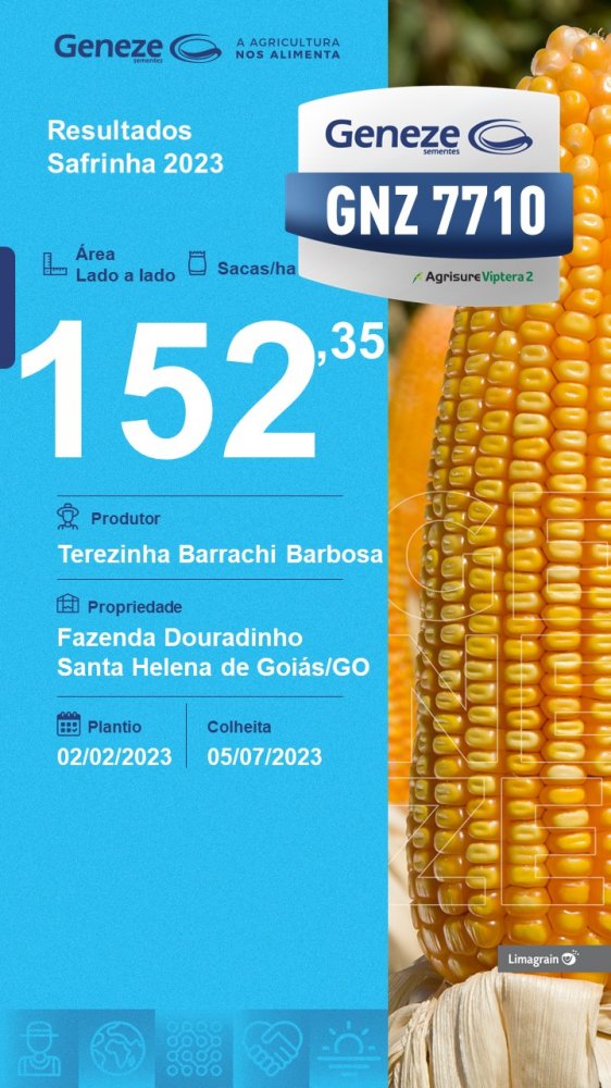 resultado-de-produtividade-gnz-7710