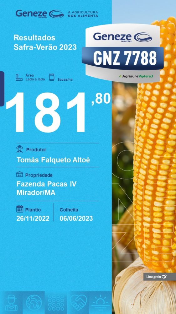 resultado-de-produtividade-gnz-7788