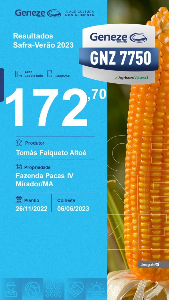 resultado-de-produtividade-gnz-7750